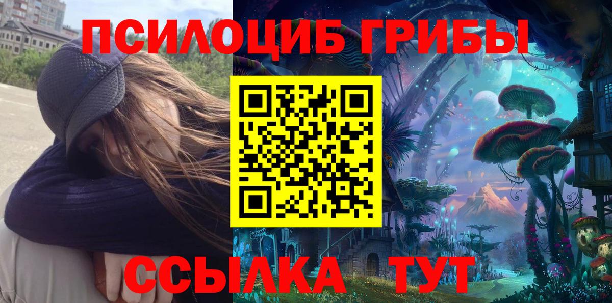 Нальчик  Галлюциногенные грибы прущие грибы  Вход с VPN 